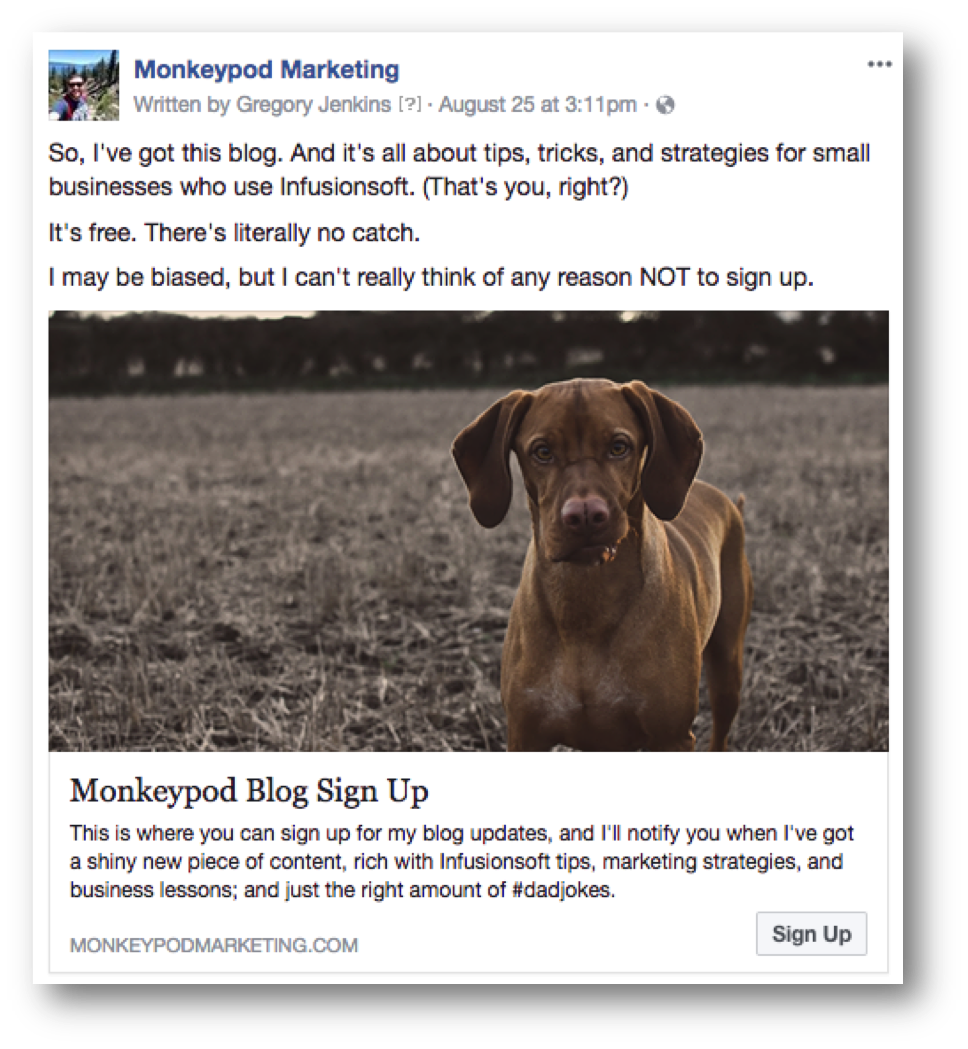 Dog FB Ad