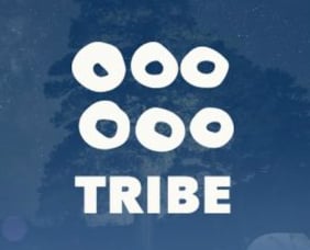 Tribe log