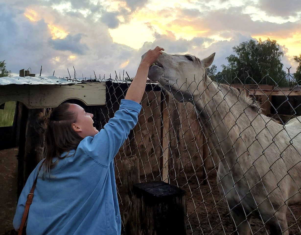 Sara feeding Horse